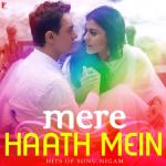 album image Hum Tum Chak De Mere Haath Mein - Hits of Sonu Nigam