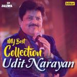 album image Choodi Baji Hain My Best Collection - Udit Narayan