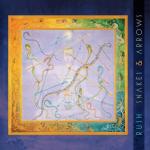album image Far Cry Snakes & Arrows