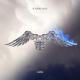 ZAYN - Common
