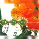 RMB Ft. Talla 2XLC - '' Spring '' [Original Vocal Mix 1996]