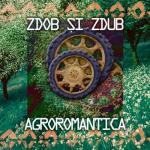 album image Видели ночь, гуляли всю ночь до утра Agroromantica