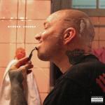 album image the дегенеративное искусство вторая собака