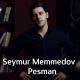 Seymur Memmedov - Popuri