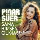 Pinar Suer - Sana Bir Sey Olmasin (TRmusic)