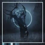 album image Lone Wolf (ft. Wasiu) Lone Wolf - Single