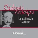 album image Sevdim Seni Bir Kere (Güneşi Beklerken 51.Bölüm) Unutulmayan Şarkılar