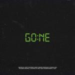 album image I'm Gone I'm Gone - Single