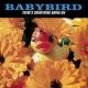 Babybird - Back Together