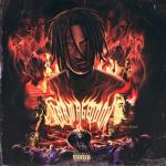 album image Дежавю Karmageddon