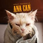 album image Deli Oldum Ana Can