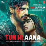 album image Tum Hi Aana Tum Hi Aana (From