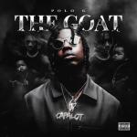 album image Go Stupid THE GOAT
