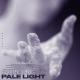 skeler - Pale Light