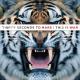 Thirty Seconds To Mars - Hurricane