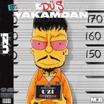 album image Düş Yakamdan Düş Yakamdan - Single