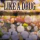 Astaves - Like a Drug