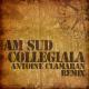 Am Sud - Collegiala (Antoine Clamaran Remix) (Saxo-Tunez.Blogspot.com)