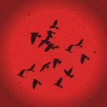 album image Лететь как птица Лететь как птица - Single