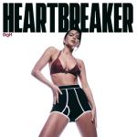 album image Flashbacks Heartbreaker