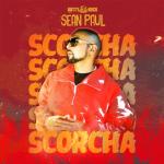album image Scorcha Scorcha - Single