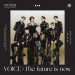 album image Into The Mirror Voice : The Future Is Now