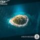 FILV - Paradise