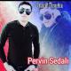 Pervin Sedalı - Severdim Yene