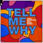 album image Tell Me Why Tell Me Why (feat. Sarah Reeves) - Single