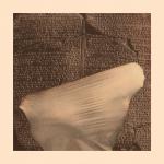 album image Olamam İflah Kara Tiyatro