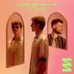 album image Where Are You Now (P.R. Project Remix) Where Are You Now - Single