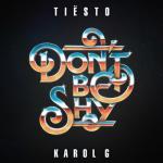 album image Dont Be Shy (Nikgeniy Remix) Don't Be Shy - Single