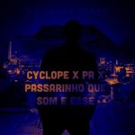 album image Passarinho Que Som É Esse