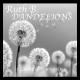ruth b - dandelions