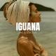 Unknown artist - ' Iguana ' Oriental Reggaeton Type Beat (Instrumental) Prod. by Ultra Beats