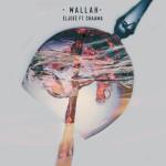 album image (Cameleon cover) Wallah - Single