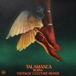 album image Talamanca (Vintage Culture remix) Talamanca (Vintage Culture Remix) - Single
