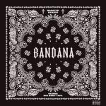 album image 99 problem remix BANDANA I