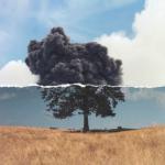 album image Here For You Cognition