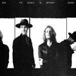 album image Never Ending The Silence in Between
