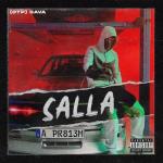 album image Salla Sava (Salla) - Single