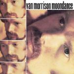 album image Brand New Day Moondance
