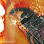 album image Disillusion Disillusion - Single