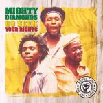 album image Africa Go Seek Your Rights