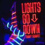 album image Lights Go Down (Extended Mix) Lights Go Down - Single