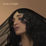 album image Mon roi facile x fragile