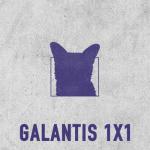 album image 1x1 (Extended Mix) 1x1 - Single