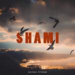 album image Белые птицы Белые птицы - Single
