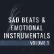 North beat inc. - Whiz K.i.D - Sagbol agamjan (WenZy REST)