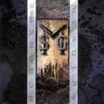album image This Night Is Gonna Last Forever M.S.G.